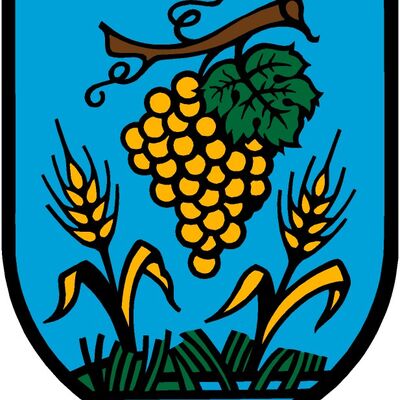Wappen Stadt Coswig bei Dresden 